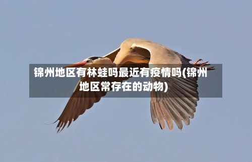 锦州地区有林蛙吗最近有疫情吗(锦州地区常存在的动物)