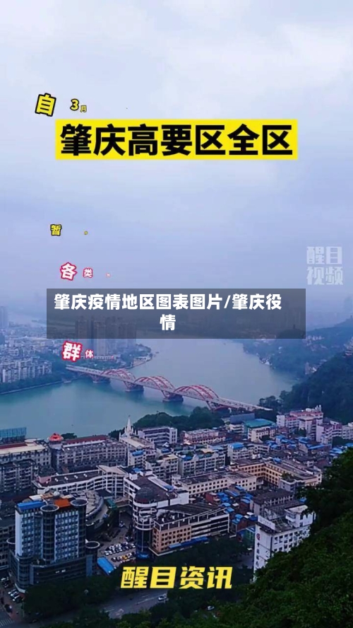 肇庆疫情地区图表图片/肇庆役情-第2张图片