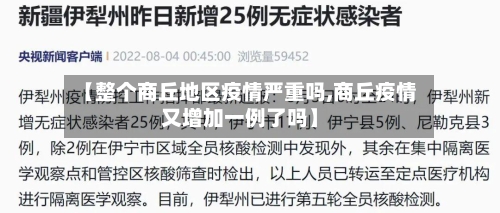 【整个商丘地区疫情严重吗,商丘疫情又增加一例了吗】-第2张图片