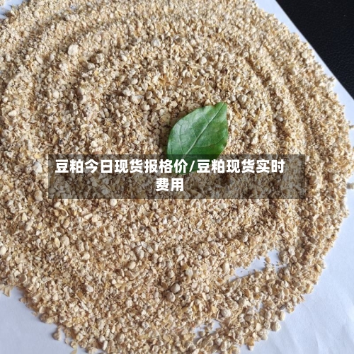 豆粕今日现货报格价/豆粕现货实时费用