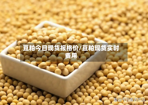 豆粕今日现货报格价/豆粕现货实时费用-第2张图片