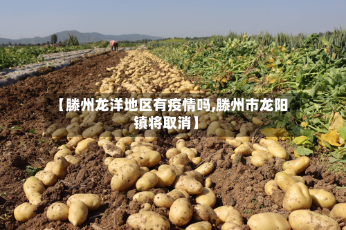 【滕州龙洋地区有疫情吗,滕州市龙阳镇将取消】