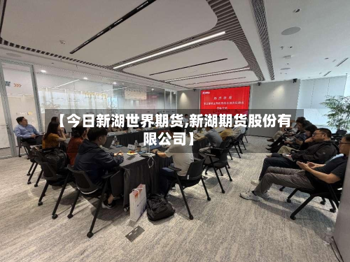 【今日新湖世界期货,新湖期货股份有限公司】-第2张图片
