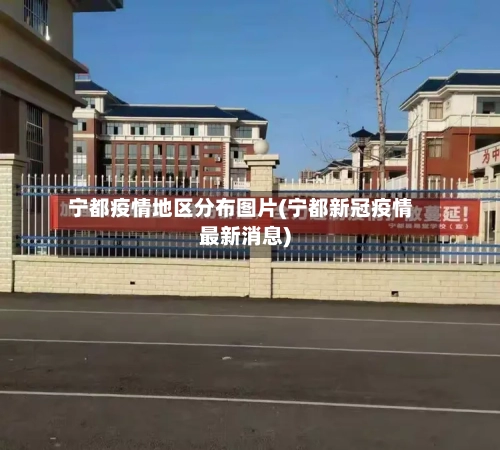宁都疫情地区分布图片(宁都新冠疫情最新消息)-第3张图片