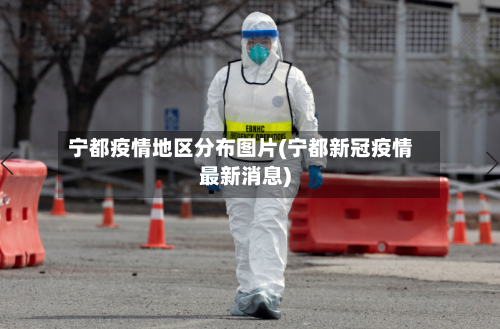 宁都疫情地区分布图片(宁都新冠疫情最新消息)