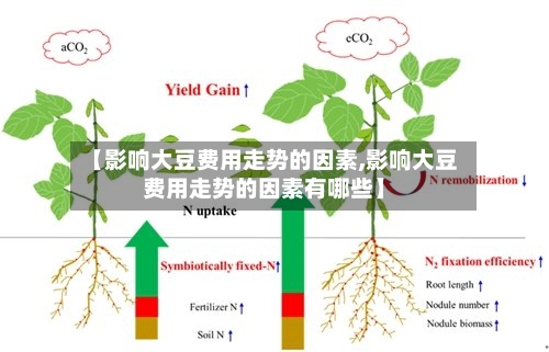 【影响大豆费用走势的因素,影响大豆费用走势的因素有哪些】-第2张图片