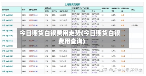 今日期货白银费用走势(今日期货白银费用查询)-第3张图片