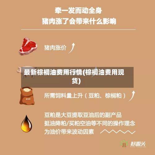最新棕榈油费用行情(棕榈油费用现货)-第3张图片