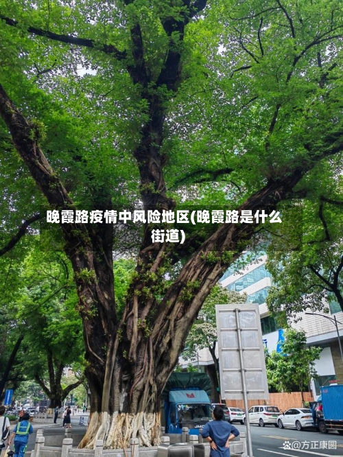 晚霞路疫情中风险地区(晚霞路是什么街道)-第3张图片