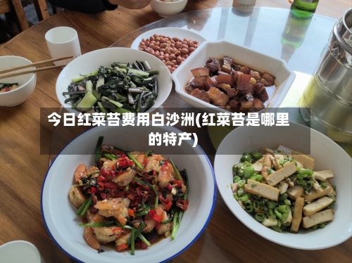 今日红菜苔费用白沙洲(红菜苔是哪里的特产)