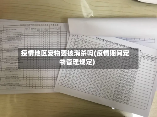 疫情地区宠物要被消杀吗(疫情期间宠物管理规定)