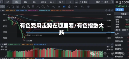 有色费用走势在哪里看/有色指数大跌