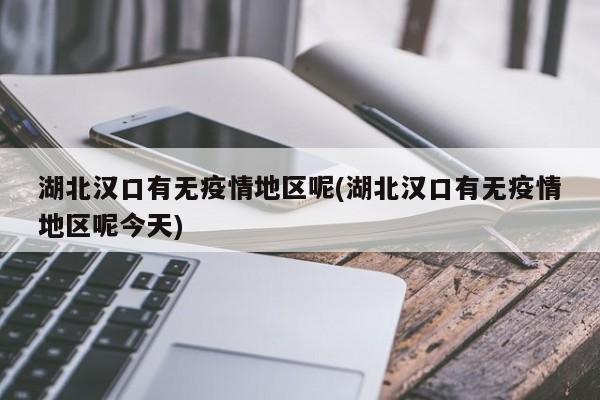 湖北汉口有无疫情地区呢(湖北汉口有无疫情地区呢今天)