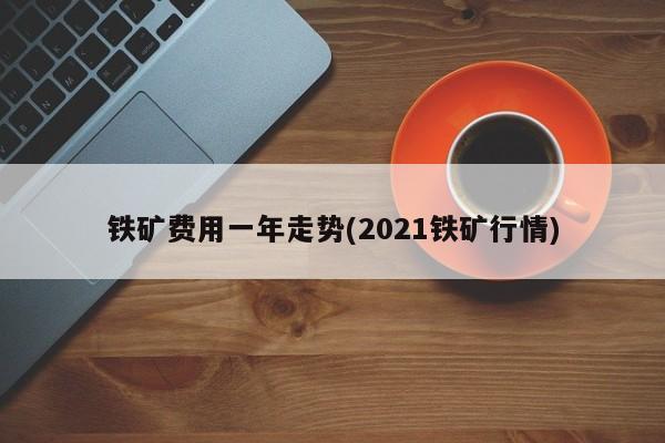 铁矿费用一年走势(2021铁矿行情)