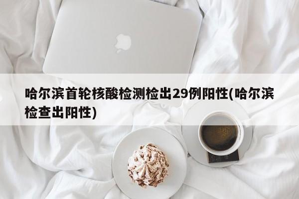 哈尔滨首轮核酸检测检出29例阳性(哈尔滨检查出阳性)
