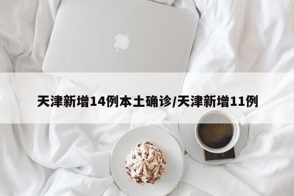天津新增14例本土确诊/天津新增11例