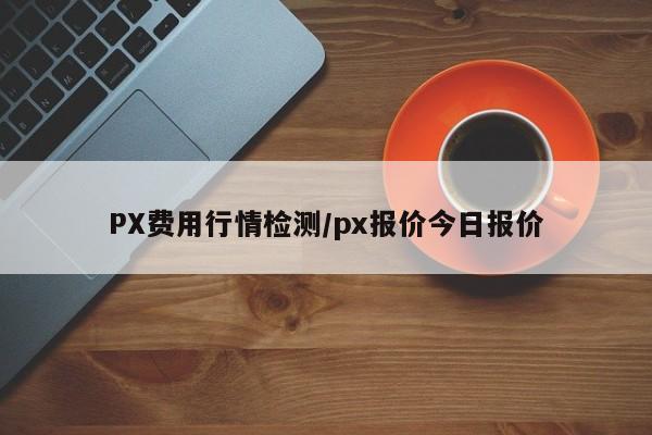 PX费用行情检测/px报价今日报价