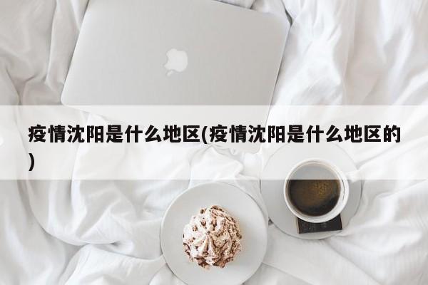 疫情沈阳是什么地区(疫情沈阳是什么地区的)