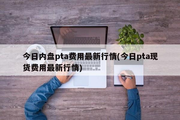 今日内盘pta费用最新行情(今日pta现货费用最新行情)